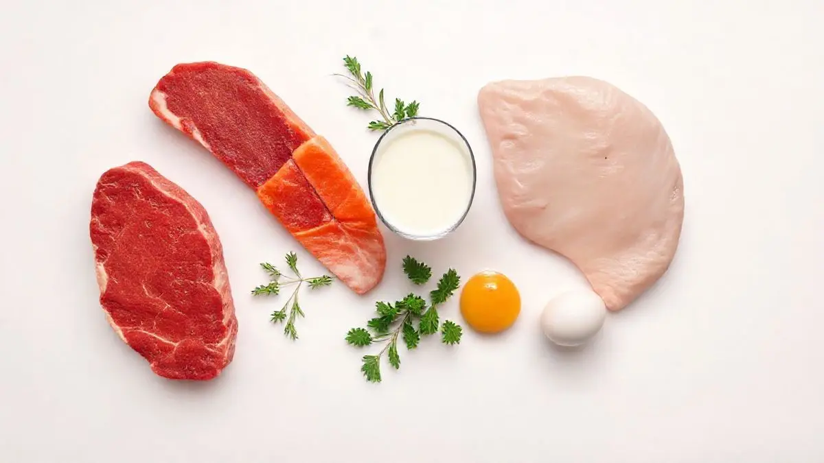 Uma seleção de alimentos naturais ricos em creatina, incluindo carne vermelha, peixe, frango, leite e ovo, dispostos de forma organizada sobre uma superfície neutra.