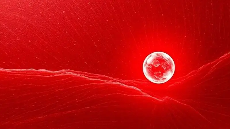 Corte transversal de um tecido muscular saudável, ilustrando a creatina como uma fonte de energia natural armazenada nos músculos.