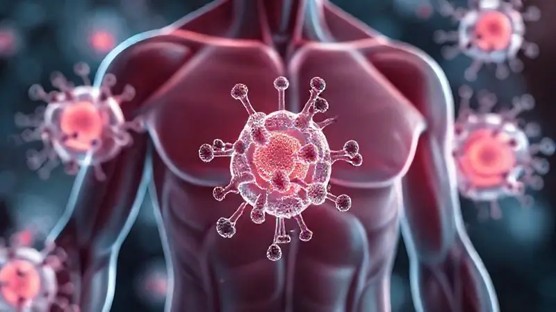 Representação conceitual da ação da creatina nas células musculares após cirurgia bariátrica